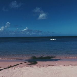 Meet your Posher, Lily